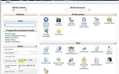 Setting up Cpanel email on Android