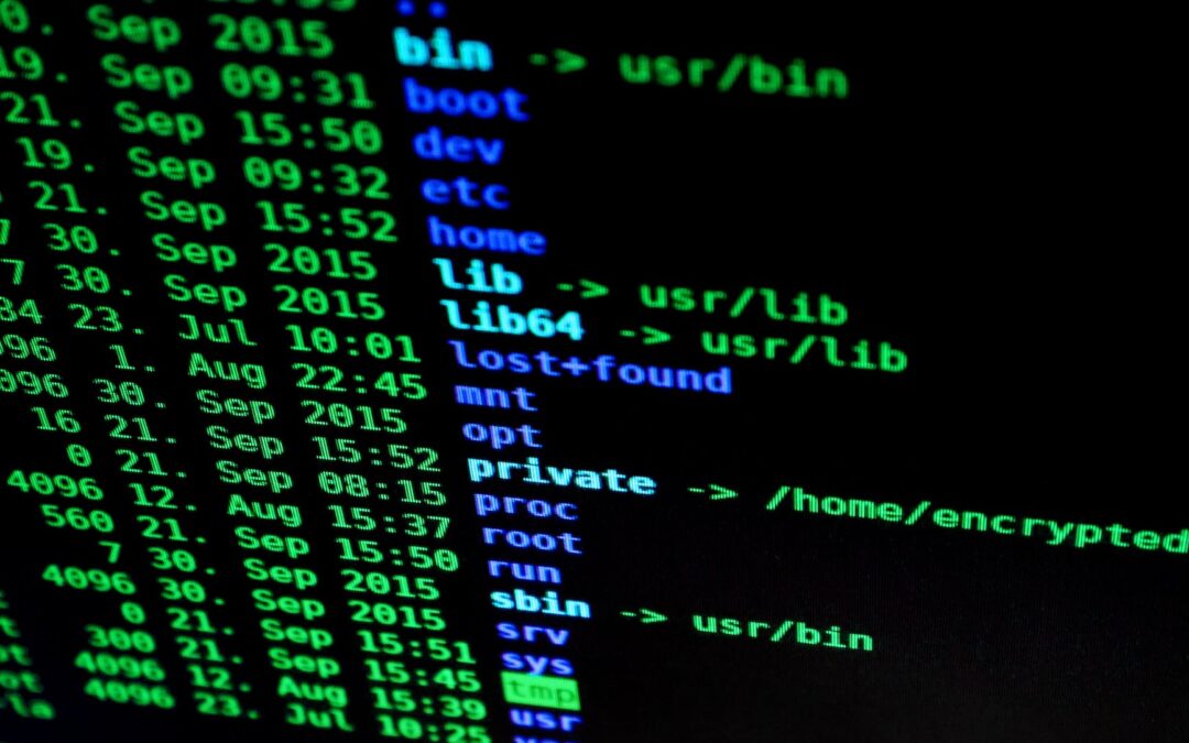 Why you need a firewall for your website